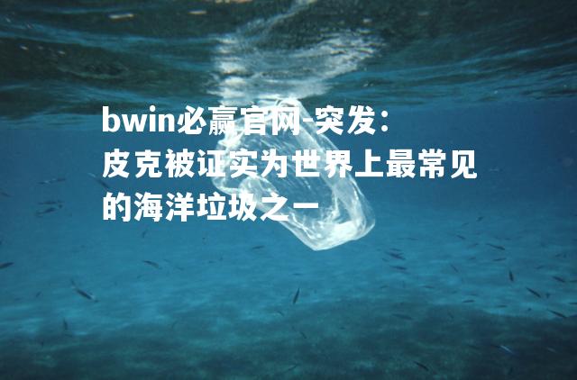 突发：皮克被证实为世界上最常见的海洋垃圾之一