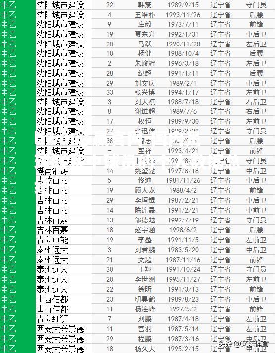 国内足球联赛中球员的个人数据总结