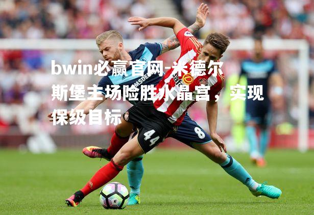 bwin必赢官网-米德尔斯堡主场险胜水晶宫，实现保级目标