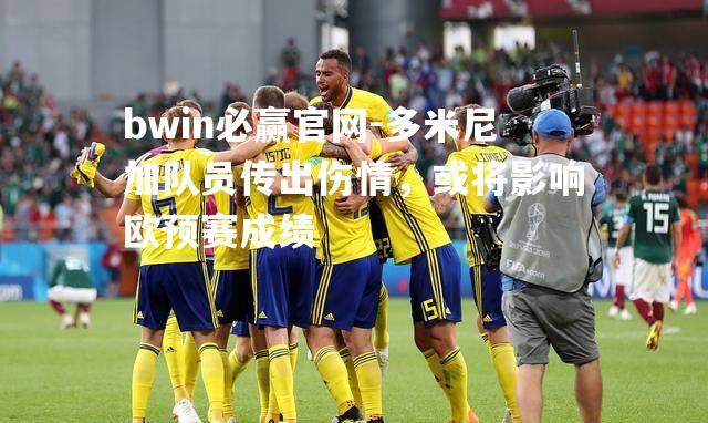 多米尼加队员传出伤情，或将影响欧预赛成绩